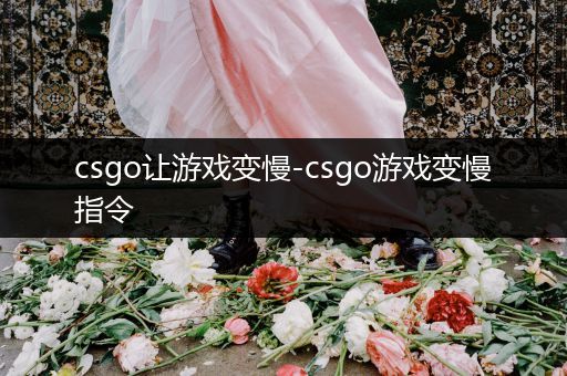 csgo让游戏变慢-csgo游戏变慢指令