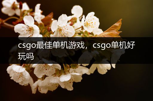 csgo最佳单机游戏，csgo单机好玩吗