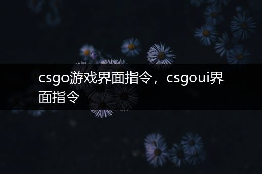 csgo游戏界面指令，csgoui界面指令