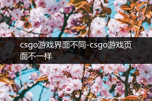 csgo游戏界面不同-csgo游戏页面不一样