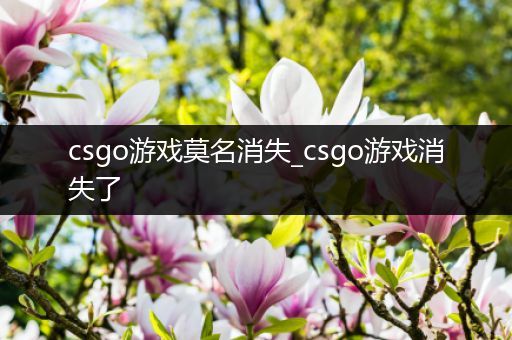 csgo游戏莫名消失_csgo游戏消失了