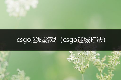 csgo迷城游戏（csgo迷城打法）