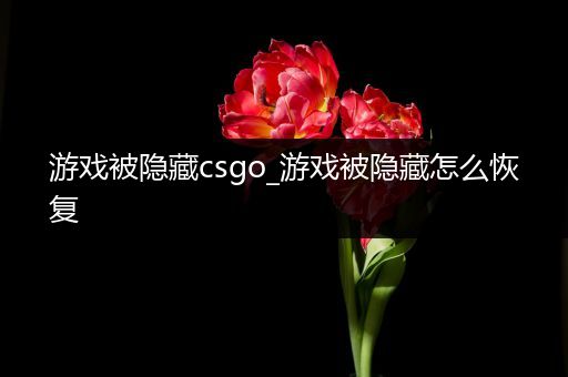 游戏被隐藏csgo_游戏被隐藏怎么恢复