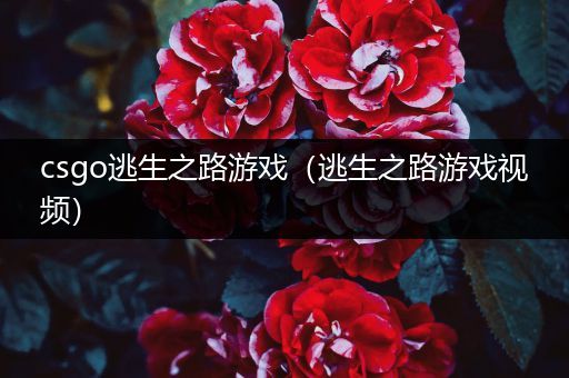csgo逃生之路游戏（逃生之路游戏视频）