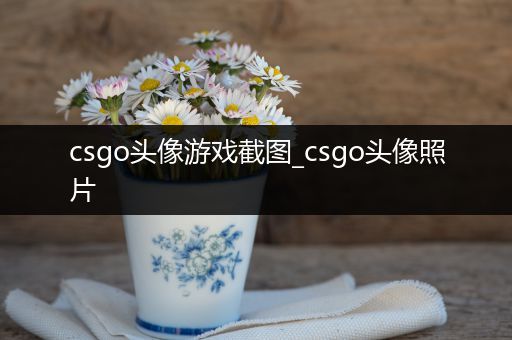 csgo头像游戏截图_csgo头像照片