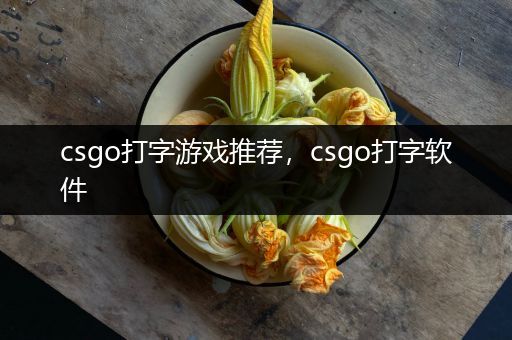 csgo打字游戏推荐，csgo打字软件