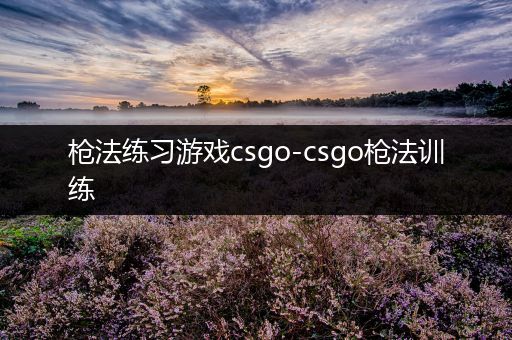 枪法练习游戏csgo-csgo枪法训练