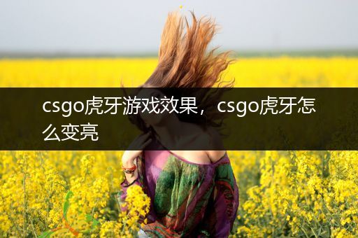 csgo虎牙游戏效果，csgo虎牙怎么变亮