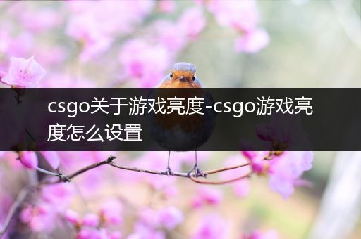 csgo关于游戏亮度-csgo游戏亮度怎么设置