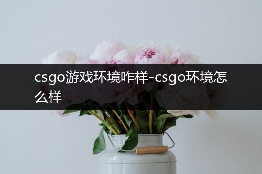 csgo游戏环境咋样-csgo环境怎么样