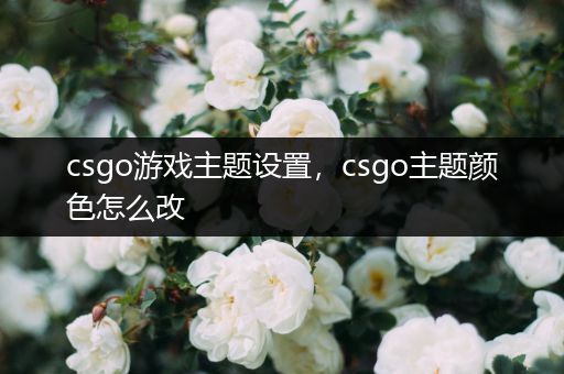 csgo游戏主题设置，csgo主题颜色怎么改