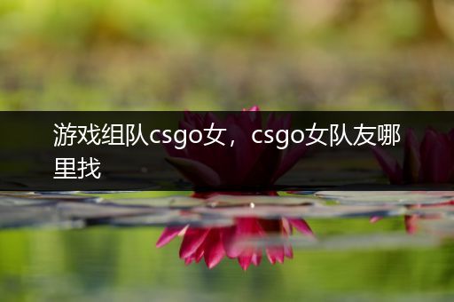 游戏组队csgo女，csgo女队友哪里找