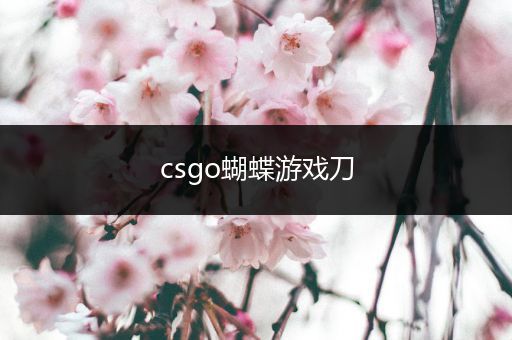 csgo蝴蝶游戏刀