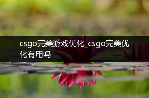 csgo完美游戏优化_csgo完美优化有用吗