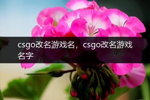 csgo改名游戏名，csgo改名游戏名字