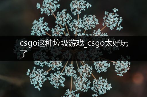 csgo这种垃圾游戏_csgo太好玩了