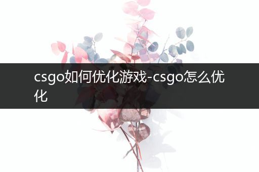 csgo如何优化游戏-csgo怎么优化