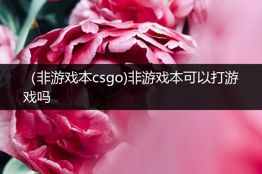 （非游戏本csgo)非游戏本可以打游戏吗