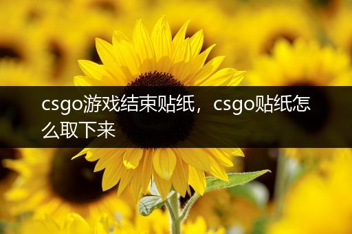 csgo游戏结束贴纸，csgo贴纸怎么取下来