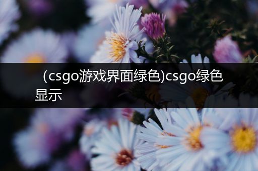 （csgo游戏界面绿色)csgo绿色显示