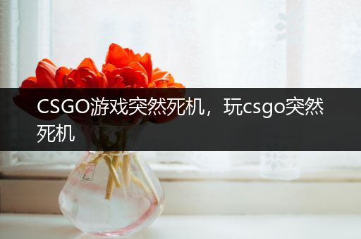 CSGO游戏突然死机，玩csgo突然死机