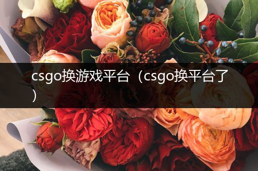 csgo换游戏平台（csgo换平台了）