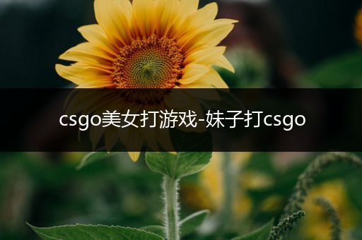 csgo美女打游戏-妹子打csgo