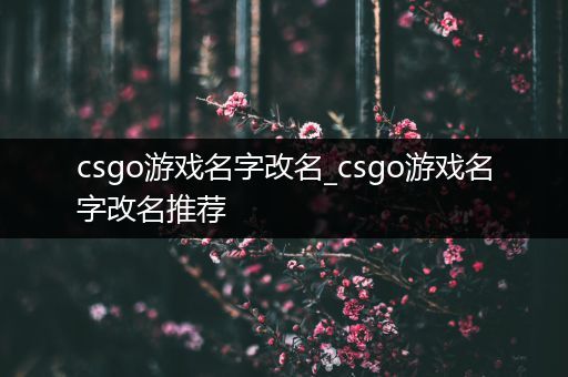 csgo游戏名字改名_csgo游戏名字改名推荐