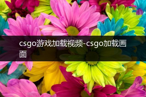 csgo游戏加载视频-csgo加载画面