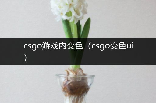 csgo游戏内变色（csgo变色ui）