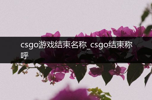 csgo游戏结束名称_csgo结束称呼