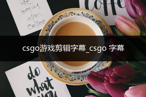 csgo游戏剪辑字幕_csgo 字幕