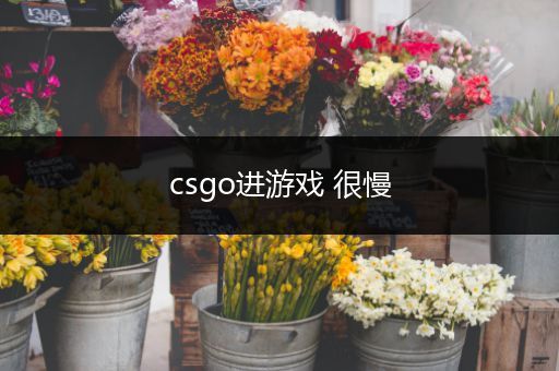 csgo进游戏 很慢