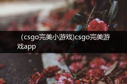 （csgo完美小游戏)csgo完美游戏app