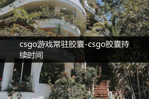 csgo游戏常驻胶囊-csgo胶囊持续时间