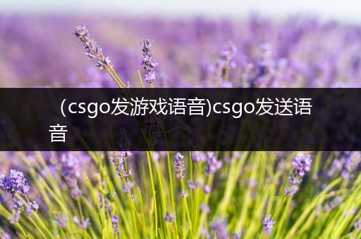 （csgo发游戏语音)csgo发送语音