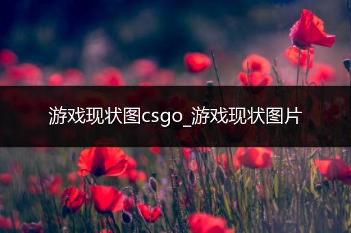 游戏现状图csgo_游戏现状图片