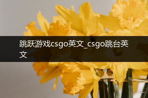 跳跃游戏csgo英文_csgo跳台英文