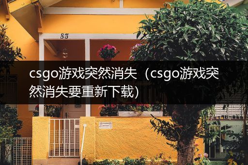 csgo游戏突然消失（csgo游戏突然消失要重新下载）