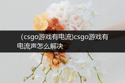 （csgo游戏有电流)csgo游戏有电流声怎么解决