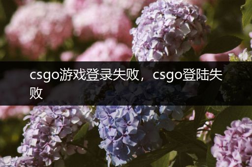csgo游戏登录失败，csgo登陆失败