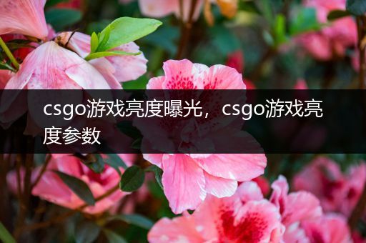 csgo游戏亮度曝光，csgo游戏亮度参数