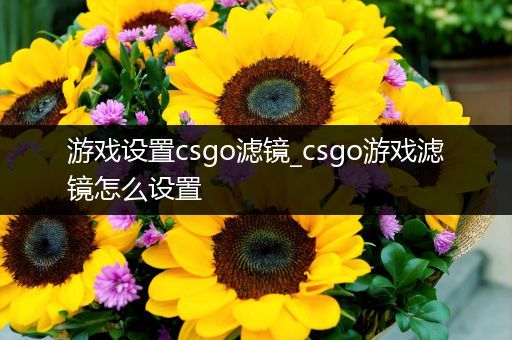 游戏设置csgo滤镜_csgo游戏滤镜怎么设置