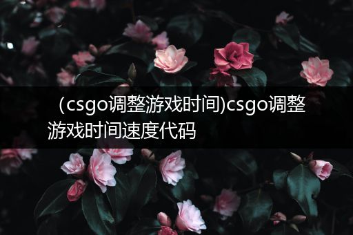 （csgo调整游戏时间)csgo调整游戏时间速度代码