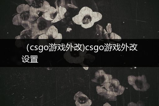 （csgo游戏外改)csgo游戏外改设置