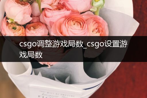 csgo调整游戏局数_csgo设置游戏局数