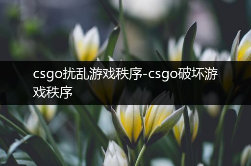 csgo扰乱游戏秩序-csgo破坏游戏秩序