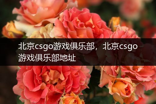 北京csgo游戏俱乐部，北京csgo游戏俱乐部地址