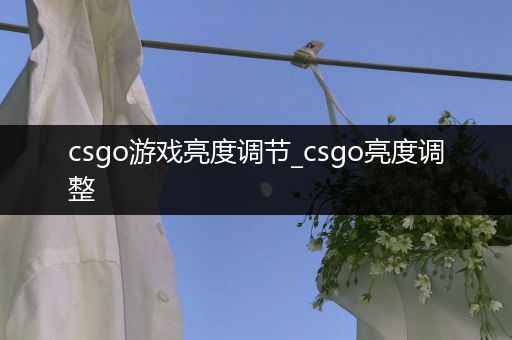 csgo游戏亮度调节_csgo亮度调整