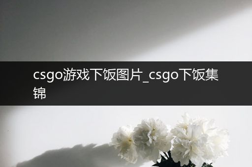 csgo游戏下饭图片_csgo下饭集锦